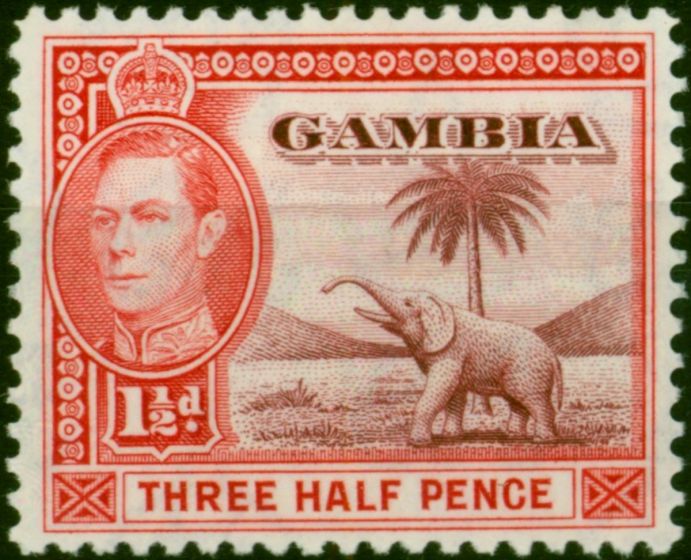 Gambia 1938 1 1/2d Brown-Lake & Bright Carmine SG152 Fine LMM  King George VI (1936-1952) Valuable Stamps