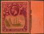 Valuable Postage Stamp St Helena 1922 £1 Grey & Purple-Red SG96 Superb MNH