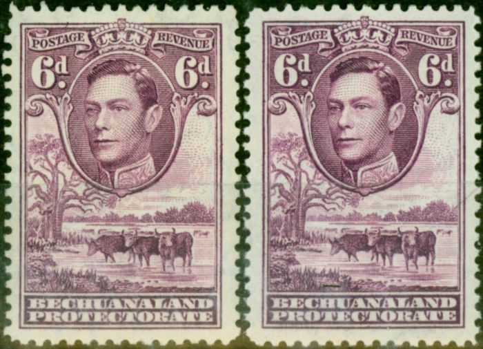 Collectible Postage Stamp Bechuanaland 1938-44 6d Both Shades SG124 & 124a Fine MM