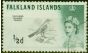 Rare Postage Stamp from Falkland Islands 1962 1/2d Black & Myrtle-Green D.L.R SG193ab Weak Entry V.F.U