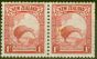 Valuable Postage Stamp from New Zealand 1936 1d Scarlet SG578var Extra Feathers on Kiwi in a Fine MNH Pair