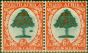 Collectible Postage Stamp from South Africa 1937 6d Green & Vermilion SG61b Molehill Variety Fine MNH