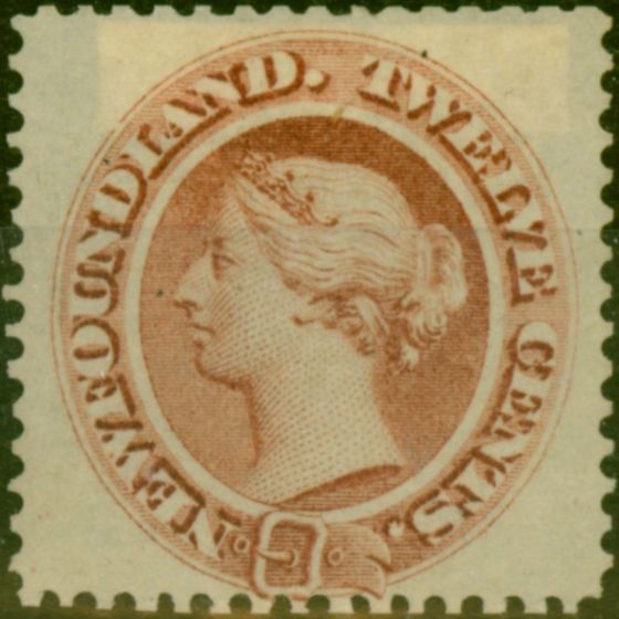 Collectible Postage Stamp Newfoundland 1865 12c Red-Brown SG28 Fine & Fresh Unused