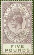 Collectible Postage Stamp from Gibraltar 1925 £5 Violet & Black SG108 Fine Lightly Mtd Mint