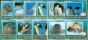 Collectible Postage Stamp Ross Dependency 1994 Wildlife Set of 11 SG21-31 V.F MNH