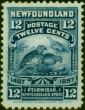 Old Postage Stamp Newfoundland 1897 12c Deep Blue SG74 Fine MM