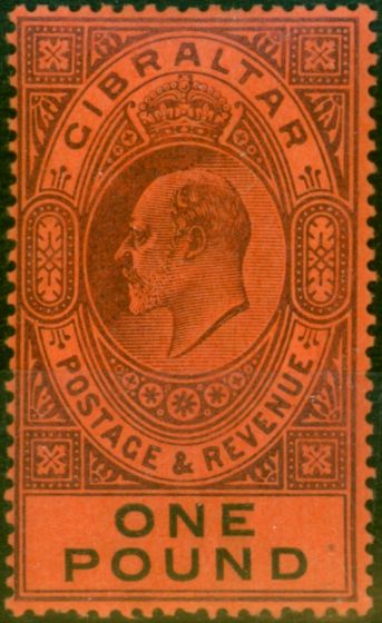 Rare Postage Stamp Gibraltar 1903 £1 Dull Purple & Black-Red SG55 Fine & Fresh LMM