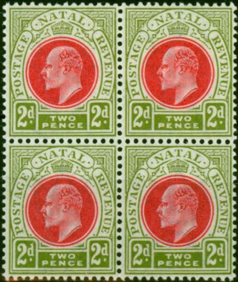 Collectible Postage Stamp Natal 1902 2d Red & Olive-Green SG130 V.F VLMM & MNH Block of 4