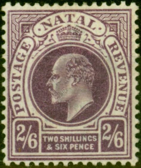Old Postage Stamp from Natal 1902 2s6d Purple SG138 Fine Lightly Mtd Mint