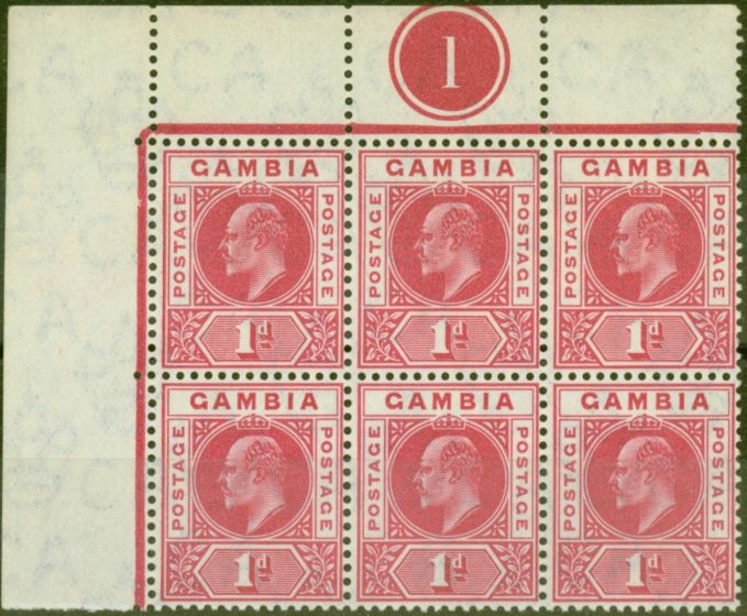 Rare Postage Stamp from Gambia 1904 1d Carmine SG58 Superb MNH Pl 1 Corner Block of 6
