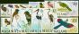 Old Postage Stamp from Malawi 1968 Birds Set of 14 SG310-323 Very Fine MNH