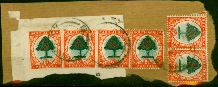 South Africa 1937 6d Green & Vermilion SG61 Die I Good Used Strip of 3, Pair & Single on Piece . King George VI (1936-1952) Used Stamps