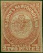 Newfoundland 1862 2d Rose-Lake SG17 Fine MM . Queen Victoria (1840-1901) Mint Stamps
