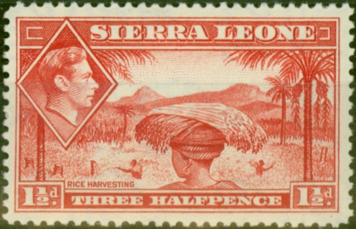 Rare Postage Stamp from Sierre Leone 1938 1 1/2d Scarlet SG190 Fine MNH