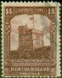 Rare Postage Stamp from Newfoundland 1928 14c Brown-Purple SG174 Fine Used