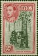 Ceylon 1938 2c Black & Carmine SG386a P.13.5 x 13 Good MM  King George VI (1936-1952) Valuable Stamps