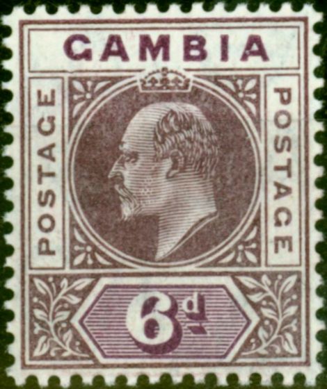 Valuable Postage Stamp from Gambia 1909 6d Dull & Bright Purple SG78a Dented Frame V.F Very Lightly Mtd Mint