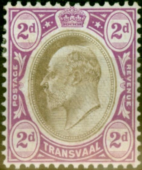 Rare Postage Stamp Transvaal 1906 2d Black & Purple SG262 Fine & Fresh MM