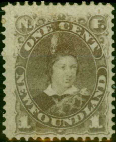 Old Postage Stamp Newfoundland 1880 1c Dull Grey-Brown SG44 Fine LMM