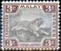 Old Postage Stamp from Fed Malay States 1900 3c Grey-Brown & Brown SG16b Fine Mtd Mint