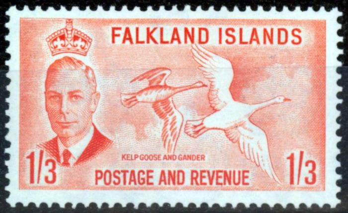 Rare Postage Stamp from Falkland Is 1952 1s3d Orange SG181 V.F MNH